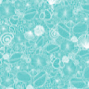 Meet your Posher, Lee